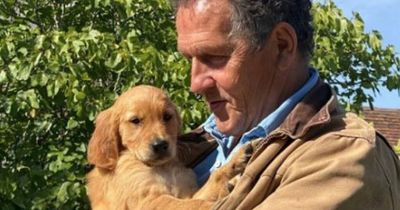 Gardeners World's Monty Don's new pup to make screen debut replacing beloved dog Nigel
