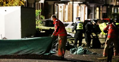 Man, 26, killed by falling tree in Greater Manchester