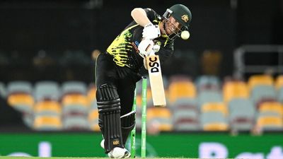 Australia defeats West Indies by 31 runs in second T20 international