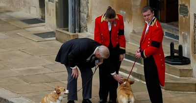 Fergie gives update on Queen's corgis after they moved in with Prince Andrew