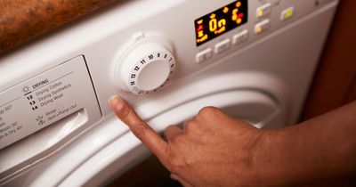 Plans to get paid £10 for using washing machines at night - all we know so far