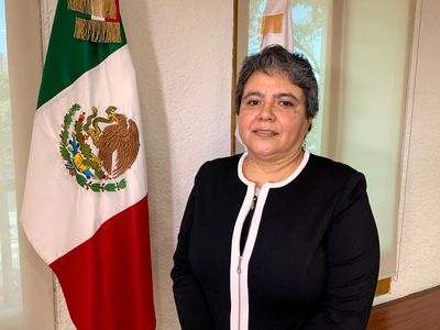 Mexican tax chief Raquel Buenrostro named as next economy minister