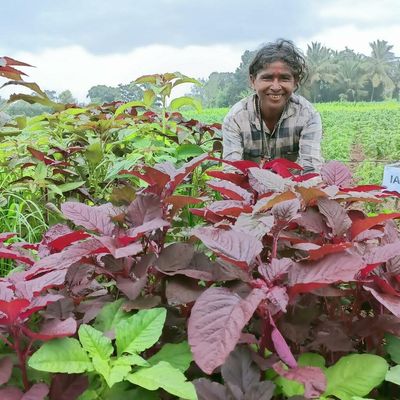 Kisan Swaraj Sammelan to be held in Mysuru in November