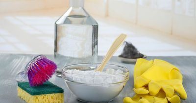 DIY toilet cleaning method costs just £1.20 - and means no more scrubbing