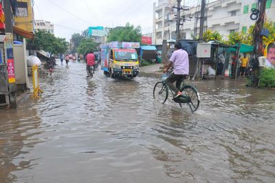 Andhra Pradesh: Potharaju canal causes misery again as rainwater floods colonies in Ongole
