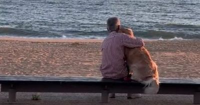 People left in tears over sweet video of man watching the sunset with his dog