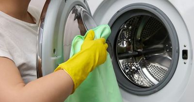 Hidden washing machine filter needs cleaning four times a year - but most don't know