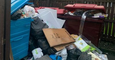 Falkirk flats' 54 days of rubbish is finally cleared after complaints