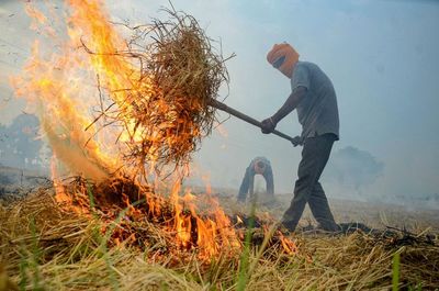 Indian Agricultural Research Institute says stubble burning in Punjab is at three-year low; Uttar Pradesh records rise