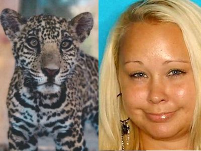 ‘Erotic Exotic’ zookeeper on the run after selling jaguar on Instagram to placate customer disappointed with monkey