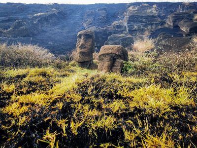 Chile's Easter Island 'Moai' statues face irreparable damage after wildfire