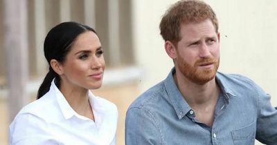 Royal expert gives rundown on Prince Harry and Meghan 'spotlight' media row