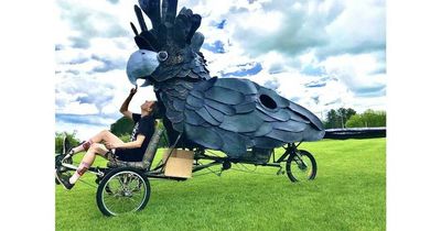 Catch Canberra's first Kinetic Sculpture Race - an heir to the Birdman Rally?