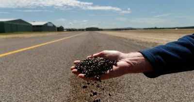 Controversy surrounds Cessnock Airport reopening