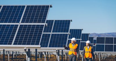 This Undervalued Solar Stock is Our Featured Growth Stock of the Week