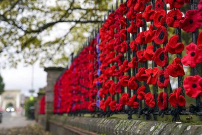 Minister to overturn decision to scrap free remembrance services train travel
