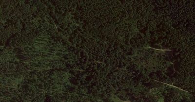 Body of man in his 20s found in home