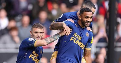 Callum Wilson and Ivan Toney compared ahead of Newcastle United vs Brentford