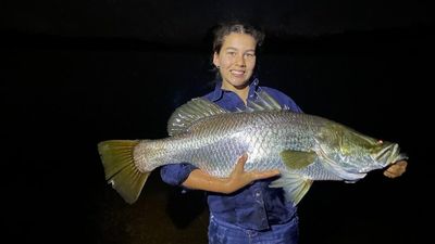 Baby barramundi released in Tinaroo Dam to lure tourists with anglers' paradise