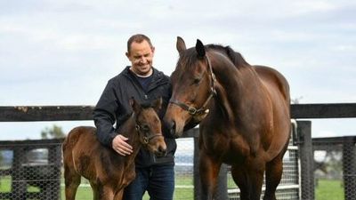 Legendary race mare Winx welcomes long-anticipated foal a 'healthy' filly