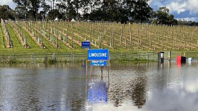 Grapevine Gathering cancelled, flood warnings remain in place across Victoria as skies clear