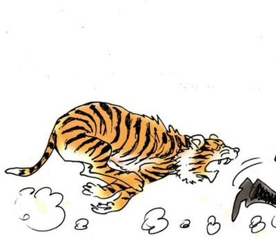 Shoot-at-sight order issued against a man-eater tiger in Bihar