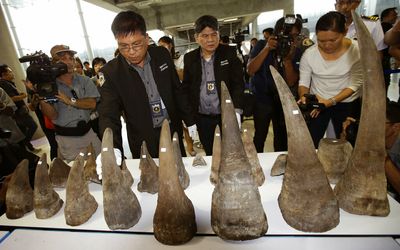 Malaysian extradited to US for alleged rhinoceros horn smuggling