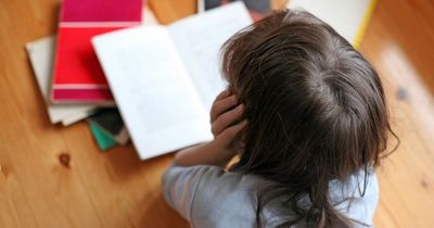 Dad in stitches over child's inappropriate homework with words 'not meant to be there'