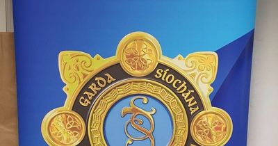 Over €350,000 of diamorphine and cocaine seized in Clondalkin sting