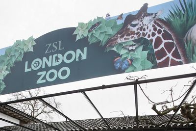 London Zoo reveals five animal escape attempts in four years