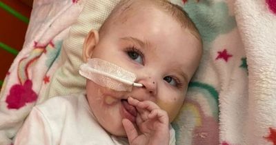 Girl, 1, diagnosed with rare brain cancer as heartbroken parents told to make memories