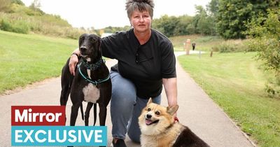 Inside the UK's 'danger dog capital' where locals are too scared to walk down the street