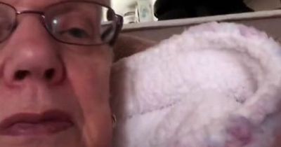 Gran has people in stitches as she accidentally goes live on Facebook with sweary rant