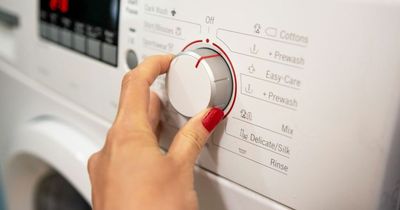 Laundry expert shares washing machine trick to save £24 on your energy bills