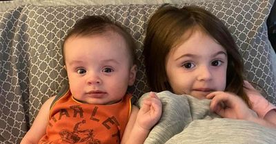 Two kids killed and mum in hospital after pet pit bulls turn on them in savage dog attack