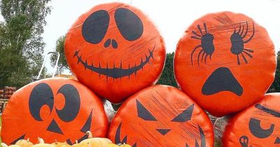 30+ things to do with kids in Manchester this Halloween and October half term