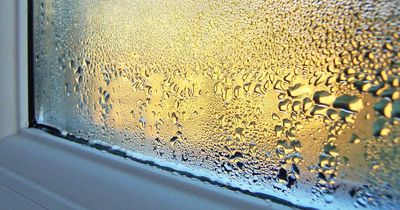 Mrs Hinch fan shares unusual £1.85 hack to reduce condensation on windows