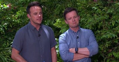 I'm A Celebrity 2022 drops first teaser trailer as ITV show returns to Australia