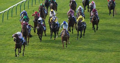 Run For Oscar routs Cesarewitch rivals for Irish trainer Charles Byrne