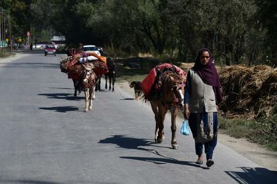 Technology eases path for the weary nomads in J&K