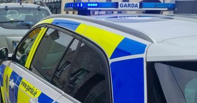 Bodies of woman and baby boy found at house in Dublin