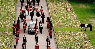 New picture of Queen’s Fell Pony Emma released after poignant funeral appearance