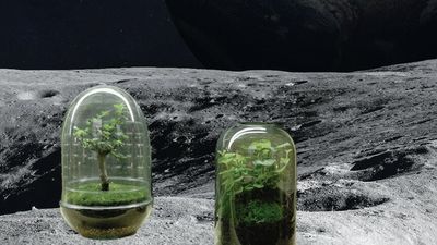 First step for Australian biologists as study begins to grow durable and sustainable plants in space