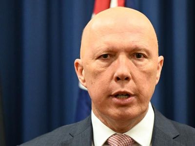 Dutton stands by embattled vice-president