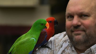 The Dreamworld tragedy almost cost Michael his life, now he is saving others one bird at a time