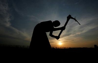 Deficient monsoon and excess rains afterwards, Uttar Pradesh farmers stare at heavy losses