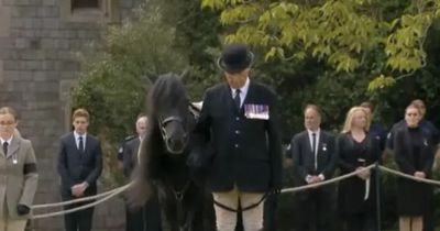Royals reveal what happened to Queen's favourite pony Emma after moving funeral tribute