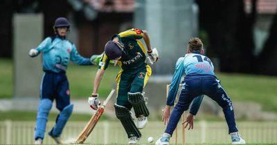 Cricket: Wests get head start as No.1 Sportsground returns