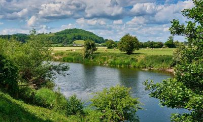 Chicken farms may explain decline of the River Wye, tests suggest