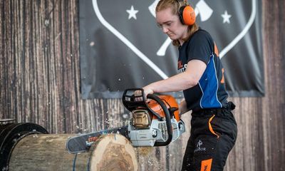Cutting edge: wood chopping trend takes off online
